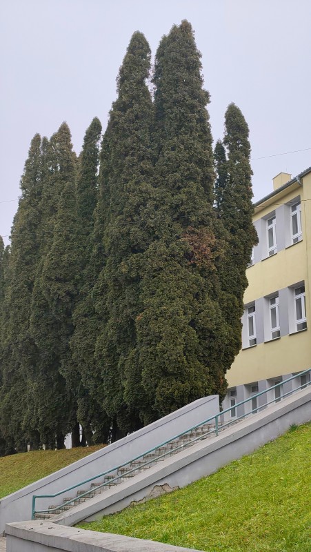 Vyfotené modelom REDMI Note 15 Pro+ 5G