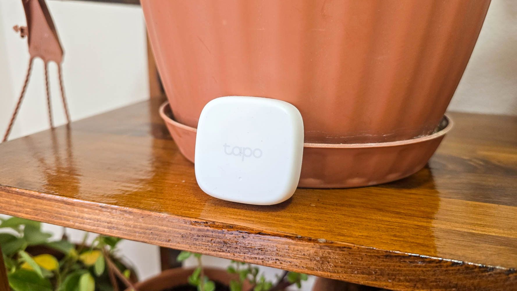 Tapo T310: Malý senzor, ktorý urobí veľký rozdiel v smart domácnosti