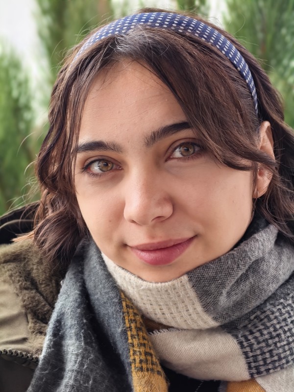 Vyfotené modelom Huawei Mate X7