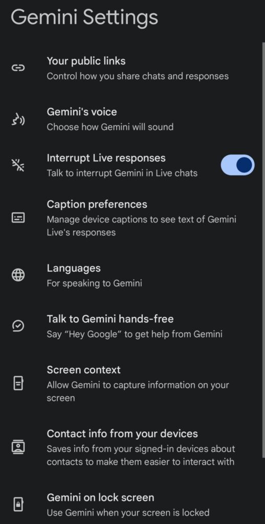 gemini AI settings