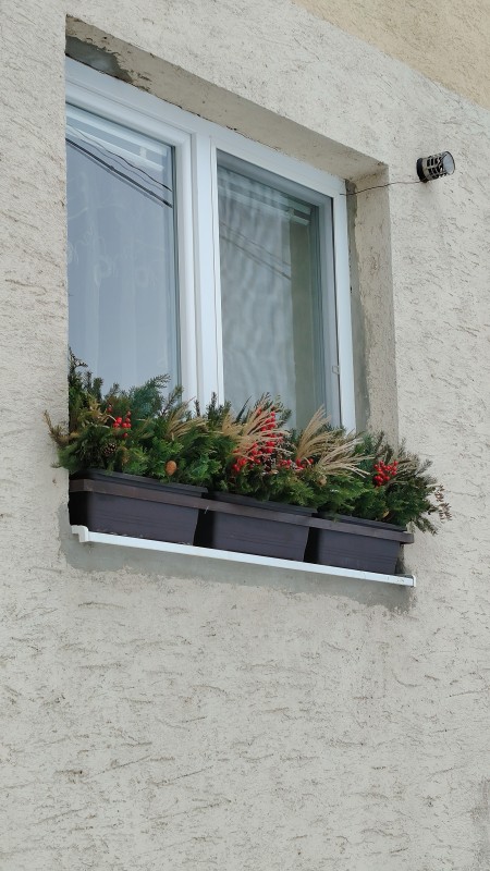 Vyfotené modelom HONOR Magic8 Lite