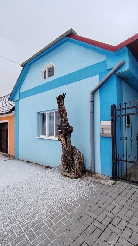 Vyfotené modelom HONOR Magic8 Lite