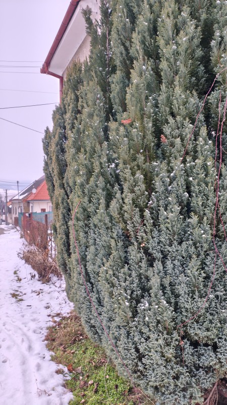 Vyfotené modelom POCO M8 Pro