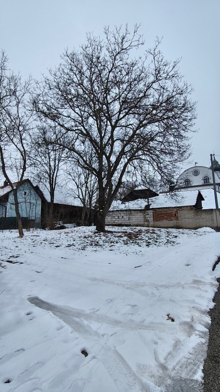 Vyfotené modelom POCO M8 Pro