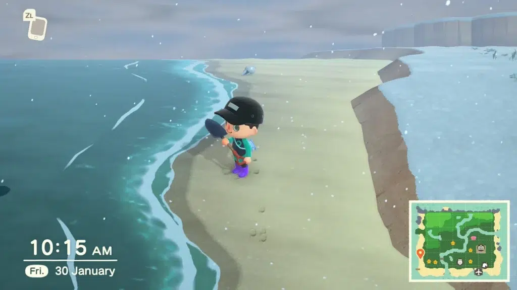 Animal Crossing: New Horizons – Nintendo Switch 2 Edition