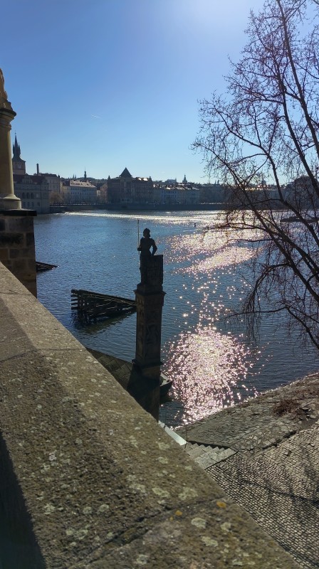 Vyfotené modelom HONOR 600 Lite