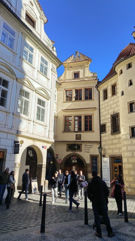 Vyfotené modelom HONOR 600 Lite