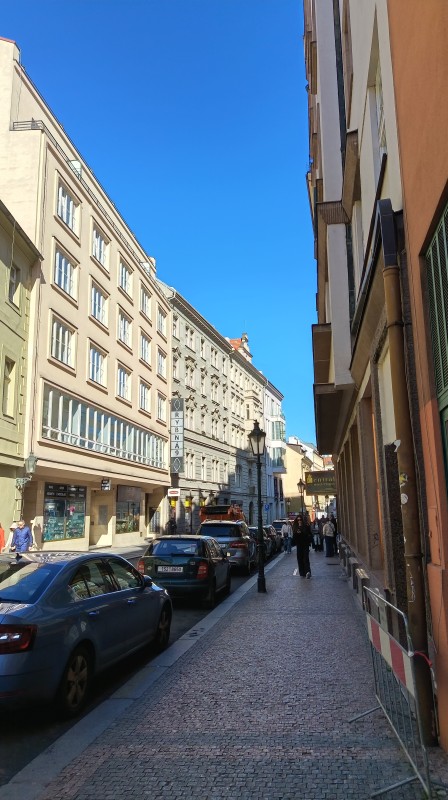 Vyfotené modelom HONOR 600 Lite