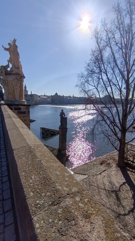 Vyfotené modelom HONOR 600 Lite