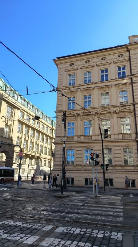 Vyfotené modelom HONOR 600 Lite