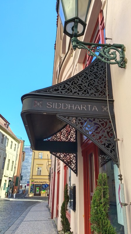 Vyfotené modelom HONOR 600 Lite