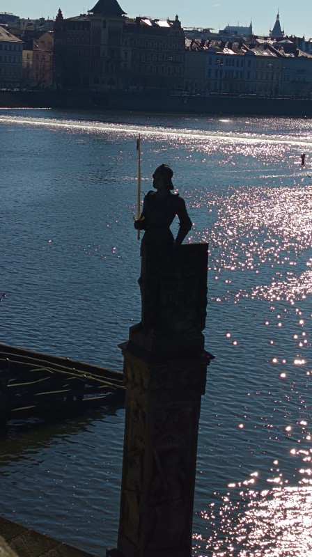 Vyfotené modelom HONOR 600 Lite