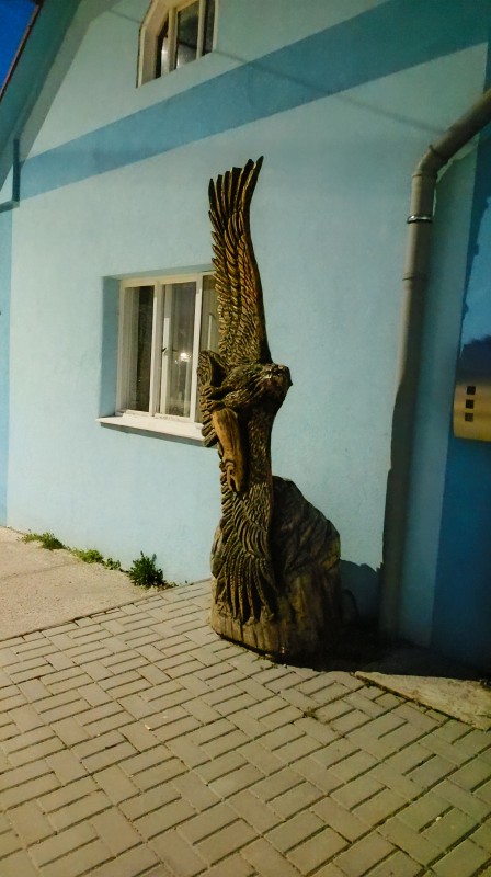 Vyfotené modelom HONOR 600 Lite