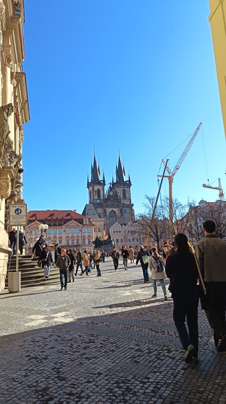 Vyfotené modelom HONOR 600 Lite