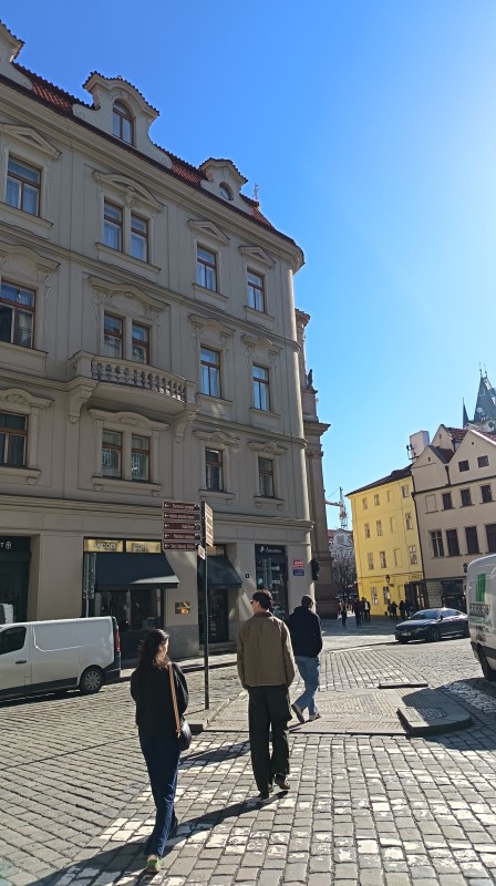 Vyfotené modelom HONOR 600 Lite