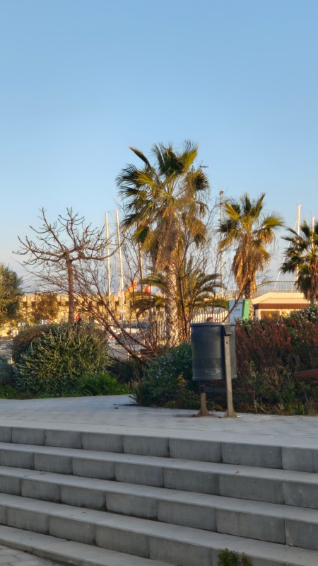 Vyfotené modelom Xiaomi 17