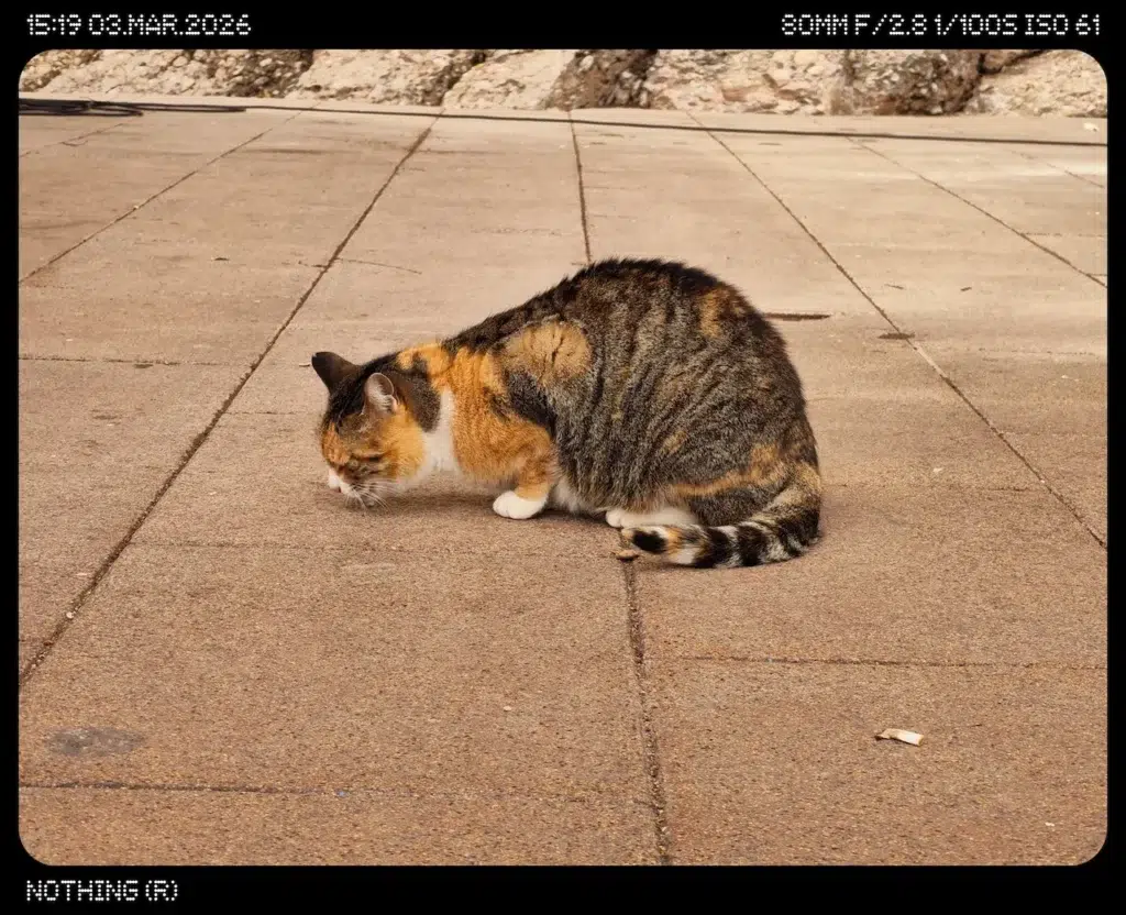 Odfotil Nothing Phone (4a)