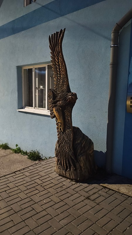 Vyfotené modelom POCO X8 Pro Max