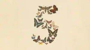 Claude Fable 5 and Claude Mythos 5