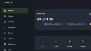 Fumbi Wallet detail