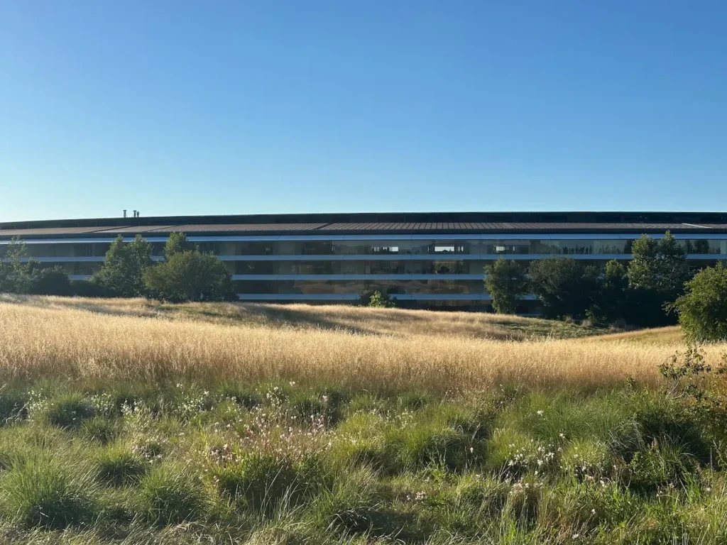 Kruhová budova Apple Parku z diaľky, oddelená lúkou vysokej zlatistej trávy. Pohľad, ktorý najlepšie vystihuje, prečo kampus pôsobí skôr ako príroda než firemné sídlo