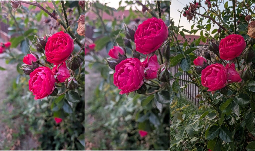 Porovnanie fotiek Pixel 9, 10 a 11 (zľava)