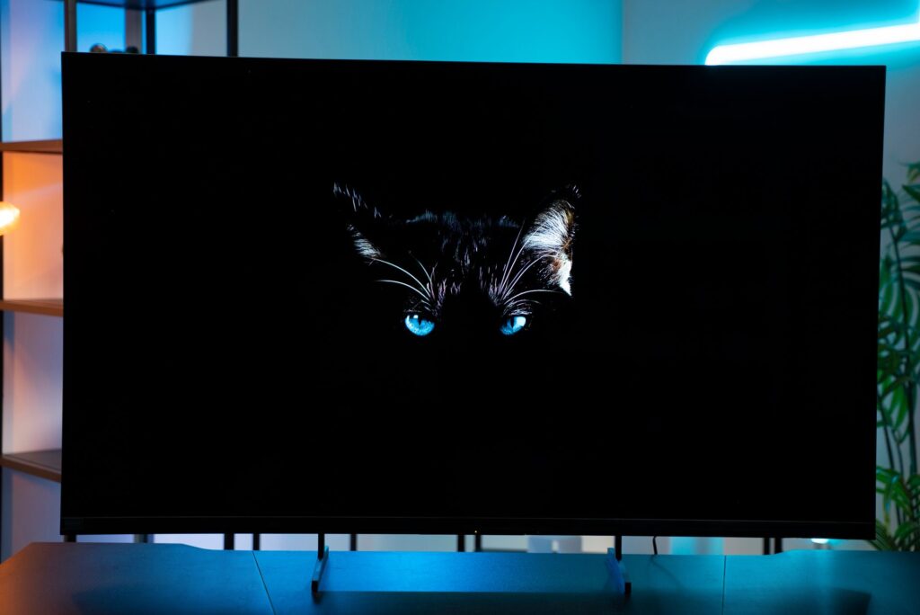 Sony Bravia R3 II