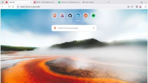 brave browser-screenshot