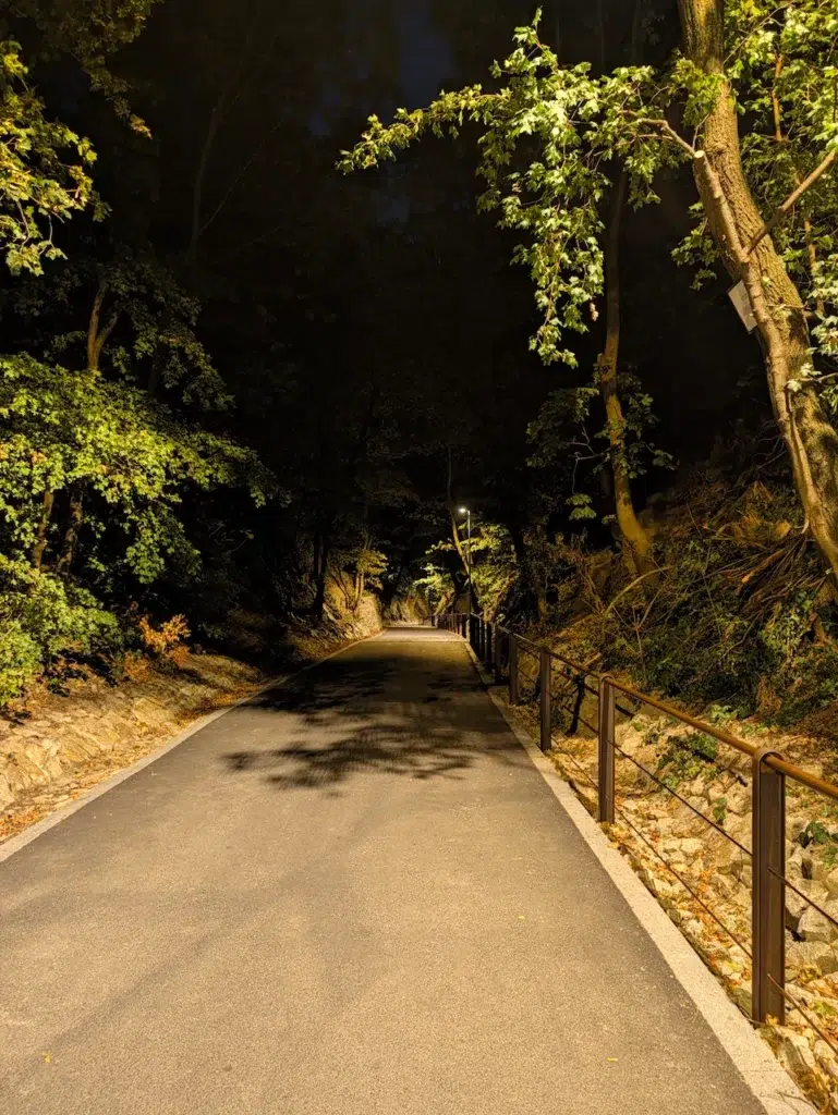 Odfotil Pixel 11 Pro XL