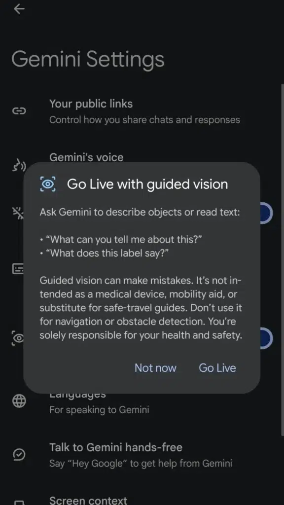 Google Guided Vision