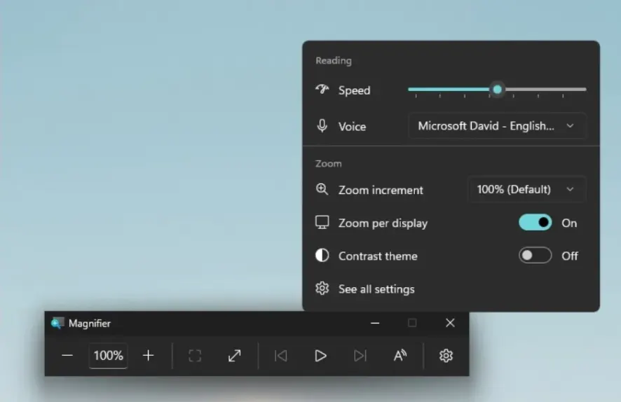 magnifier-zoom-per-display